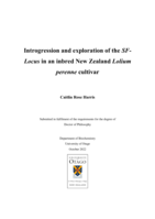 Introgression and exploration of the SF-Locus in an inbred New Zealand Lolium perenne cultivar