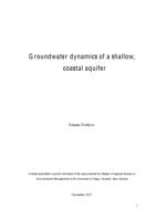 Groundwater dynamics of a shallow coastal aquifer