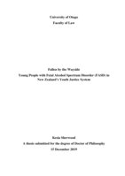 Fallen by the wayside: Young people with fetal alcohol spectrum disorder (FASD) in New Zealand's youth justice system