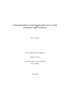 Characterisation of developmental cues in early postnatal AgRP neurons