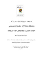 Characterising a Novel Mouse Model of Nitric Oxide Induced Cardiac Dysfunction