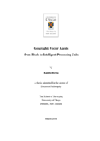 Geographic Vector Agents   from Pixels to Intelligent Processing Units