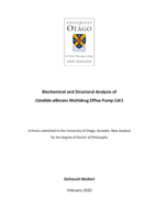 Biochemical and structural analysis of Candida albicans multidrug efflux pump Cdr1