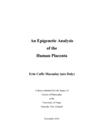 An Epigenetic Analysis of the Human Placenta
