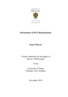 Mechanisms of DNA demethylation