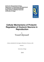 Cellular Mechanisms of Prolactin Regulation of Oxytocin Neurons in Reproduction