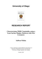 Characterising TRIB1 Nanobodies using a Yeast Surface Display Platform with Flow Cytometry