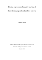 Uterine expression of mucin1 in a line of sheep displaying reduced embryo survival