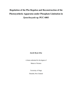 Regulation of the Pho Regulon and Reconstruction of the Photosynthetic Apparatus under Phosphate Limitation in Synechocystis sp. PCC 6803