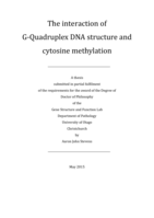The interaction of G-Quadruplex DNA structure and cytosine methylation