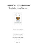 The Role of RNF167 in Lysosomal Regulation within Neurons