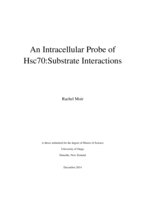 An Intracellular Probe of Hsc70:Substrate Interactions