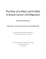 The Role of α-ENaC and δ-ENaC in Breast Cancer Cell Migration