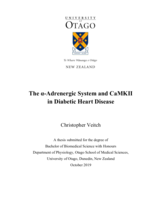 The α-Adrenergic System and CaMKII in Diabetic Heart Disease