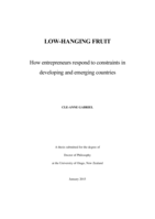 Low-hanging fruit: How entrepreneurs respond to constraints in developing and emerging countries