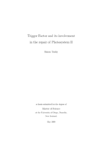 Trigger Factor and its involvement in the repair of Photosystem II
