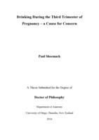 Drinking During the Third Trimester of Pregnancy – a Cause for Concern