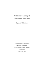 Collaborative Learning of Fine-grained Visual Data