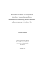 Braided-river islands as refuges from introduced mammalian predators: characteristics influencing predator presence, and consequences of reduced flow