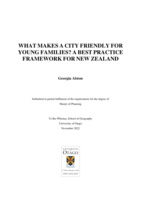 What Makes a City Friendly for Young Families? A Best Practice Framework for New Zealand