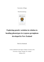 Exploring genetic variation in relation to heading phenotypes in ryegrass germplasm developed in New Zealand