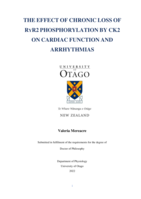 The effect of chronic loss of RyR2 phosphorylation by CK2 on cardiac function and arrhythmias