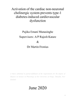 Activation of the cardiac non-neuronal cholinergic system prevents type-1 diabetes-induced cardiovascular dysfunction