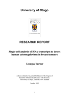 Single cell analysis of RNA transcripts to detect human cytomegalovirus in breast tumours