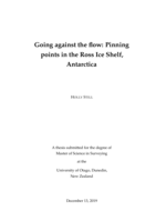 Going against the flow: Pinning points in the Ross Ice Shelf, Antarctica