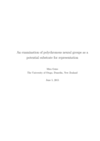 An examination of polychronous neural groups as a potential substrate for representation