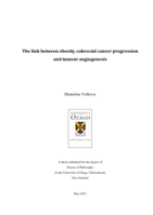 The link between obesity, colorectal cancer progression and tumour angiogenesis