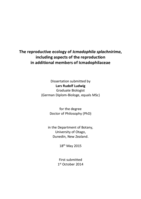 The reproductive ecology of Icmadophila splachnirima, including aspects of the reproduction in additional members of Icmadophilaceae