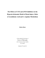 The Effects of COX and nNOS Inhibitors in the Hypoxia-Ischaemia Model of Brain Injury: Roles of Arachidonic Acid and L-Arginine Metabolism