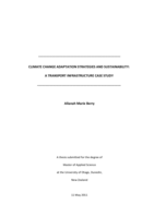 Climate Change Adaptation Strategies and Sustainability: a transport infrastructure case study