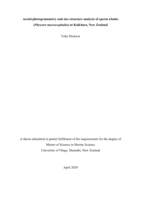 Aerial photogrammetry and size structure analysis of sperm whales (Physeter macrocephalus) at Kaikōura, New Zealand
