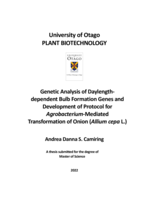 Genetic Analysis of Daylength-dependent Bulb Formation Genes and Development of Protocol for Agrobacterium-Mediated Transformation of Onion (Allium cepa L.)