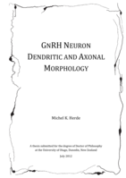 GnRH Neuron Dendritic and Axonal Morphology