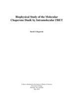 Biophysical Study of the Molecular Chaperone DnaK by Intramolecular FRET