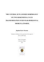 The control of planform morphology on two-dimensional wave transformation over near-horizontal shore platforms