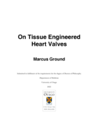 On tissue engineered heart valves
