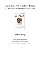 Genome-Scale DNA Methylation Profiling of a Neuroendocrine Prostate Cancer Model