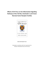 Effects of Orf Virus on the Inflammation Signalling Pathways of the Toll-­like, Interleukin-­1 and Tumor Necrosis Factor Receptor Families