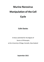 Murine Norovirus Manipulation of the Cell Cycle