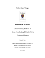 Characterizing the Role of Long Non-Coding RNA CAN3 in Colorectal Cancer