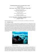 Predicting potential anchor ice formation sites in coastal Antarctic Waters