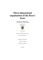 Three-dimensional organisation of the Runx1 locus