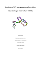 Regulation of Zn2+ and aggregation affects Aβ1-42- induced changes in cell culture viability.