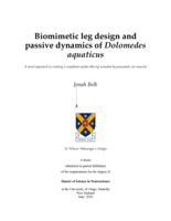 Biomimetic leg design and passive dynamics of Dolomedes aquaticus
