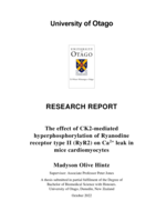 The effect of CK2-mediated hyperphosphorylation of Ryanodine receptor type II (RyR2) on Ca2+ leak in mice cardiomyocytes