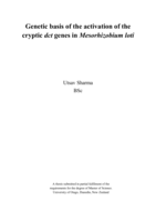 Genetic basis of the activation of the cryptic dct genes in Mesorhizobium loti